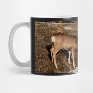 Doe Mug